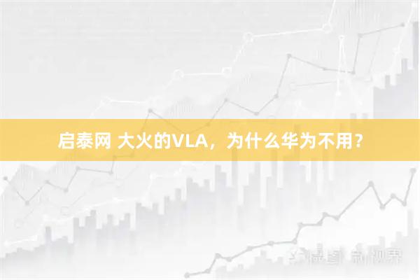启泰网 大火的VLA，为什么华为不用？