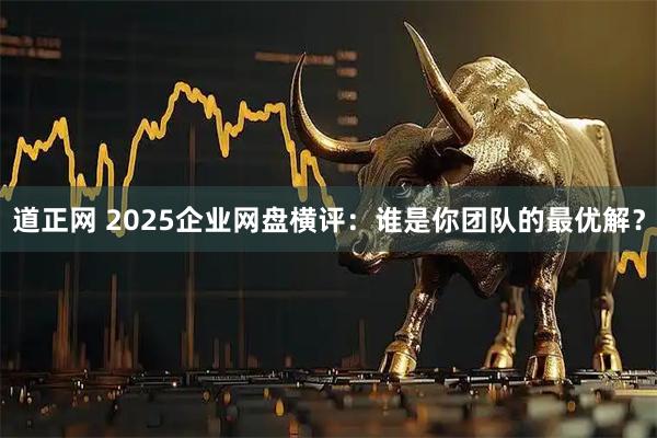 道正网 2025企业网盘横评：谁是你团队的最优解？
