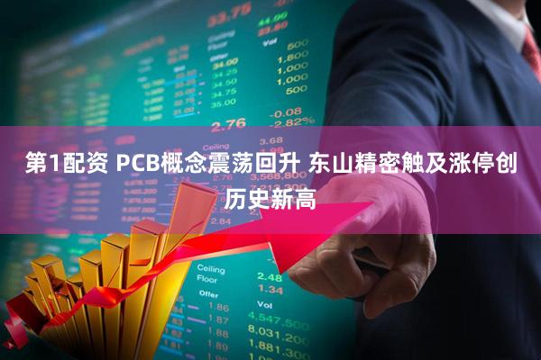 第1配资 PCB概念震荡回升 东山精密触及涨停创历史新高