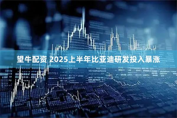 望牛配资 2025上半年比亚迪研发投入暴涨