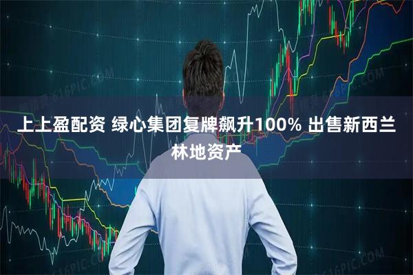 上上盈配资 绿心集团复牌飙升100% 出售新西兰林地资产